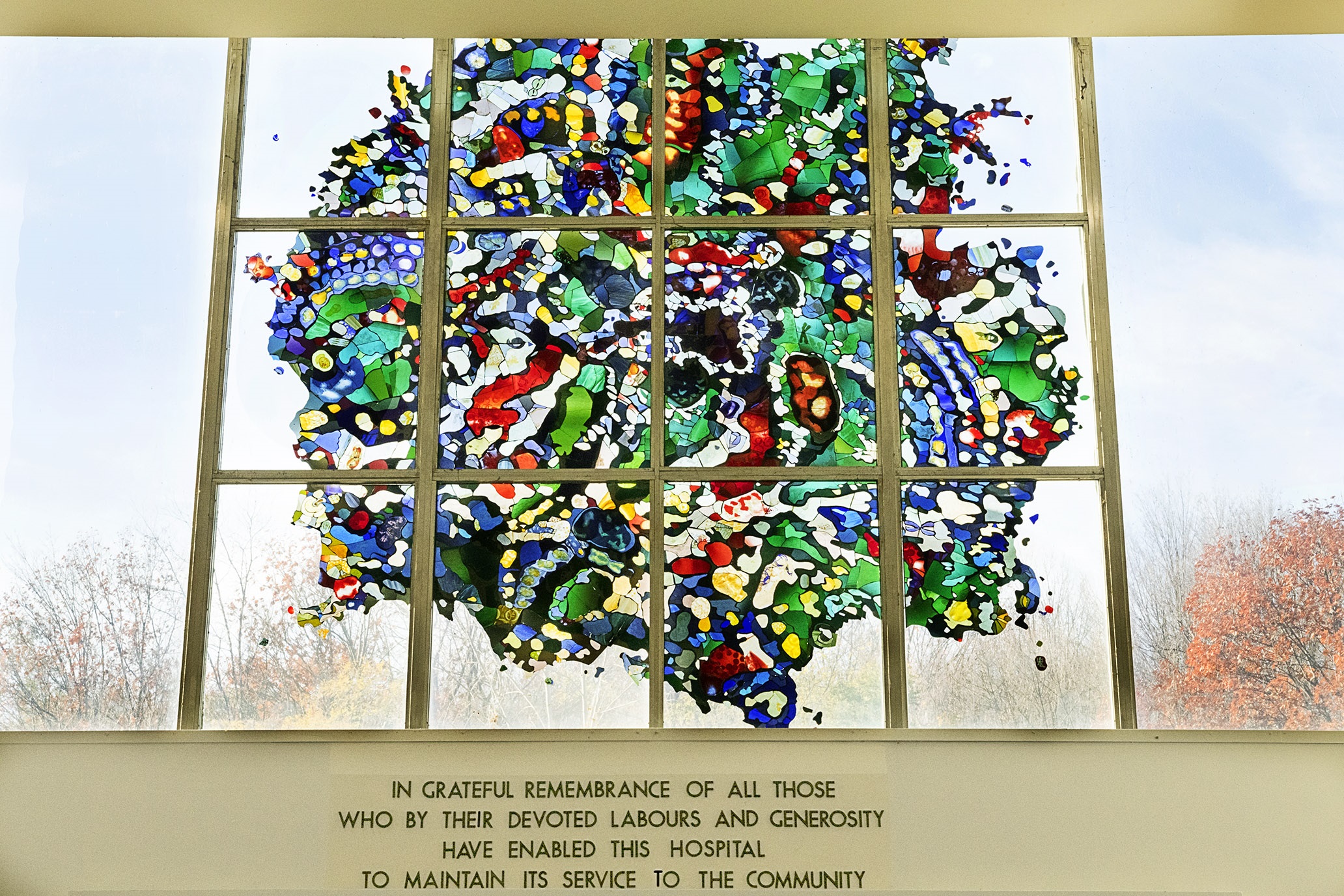 Colourful stained glass window that looks like a cell